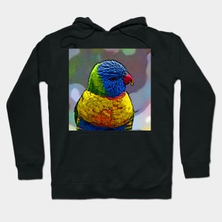 Lory20150503 Hoodie